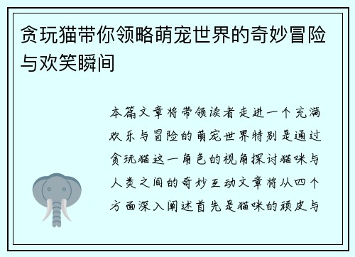 贪玩猫带你领略萌宠世界的奇妙冒险与欢笑瞬间